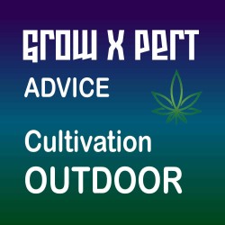 Grow X PerT - ADVICE - Cultivation OUTDOOR